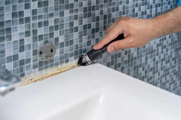 Best Emergency Mold Removal  in Bridgeport, IL